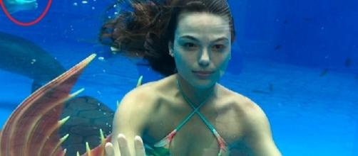 Ritinha revelou, sem querer, o segredo de suas cenas debaixo da água, no aquário, em 'A força do Querer'.