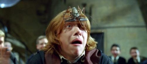 Ron Weasley (Rupert Grint) terrorizzato da un ragno gigante, in una scena tratta dal film "Harry Potter e la camera dei segreti".