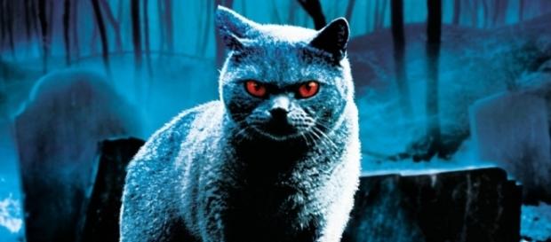 Il Cimitero Vivente degli animali riaprirà nella nuova versione di "Pet Sematary" Il Cimitero Vivente degli animali riaprirà nella nuova versione di "Pet Sematary"