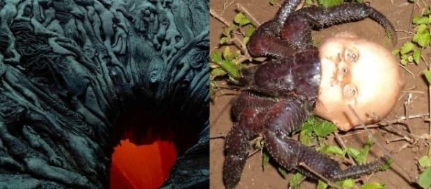 Natureza implacável: quando a natureza se revolta e mostra o quanto pode ser bizarra ou cruel Natureza implacável: quando a natureza se revolta e mostra o quanto pode ser bizarra ou cruel