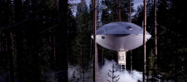 Voglio ritornare bambino: gli hotel sugli alberi più belli al ... - latitudeslife.com Voglio ritornare bambino: gli hotel sugli alberi più belli al ... - latitudeslife.com
