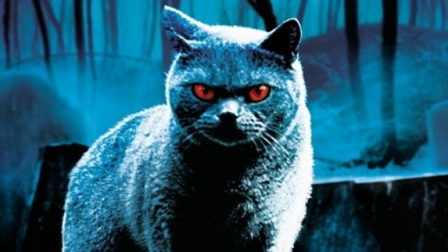 Il Cimitero Vivente degli animali riaprir&agrave; nella nuova versione di "Pet Sematary"