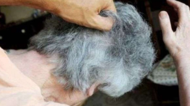 Tag: badante elettronica | Palermomania.it il giornale di Palermo ... - palermomania.it