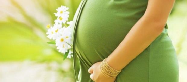 Irmã e sobrinha poderão ser 'barriga de aluguel' Irmã e sobrinha poderão ser 'barriga de aluguel'