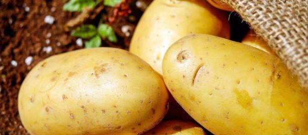 Le Pouvoir de l'Alimentation - ilocla-bienetre.fr Le Pouvoir de l'Alimentation - ilocla-bienetre.fr