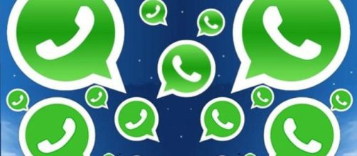 A Secret WhatsApp Web Trick That's Perfect for Gossips - softonic.com