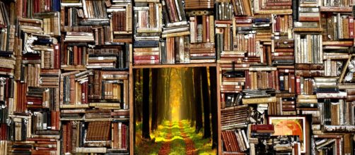 Library to Fantasy-Land (Image via: pixabay.com)
