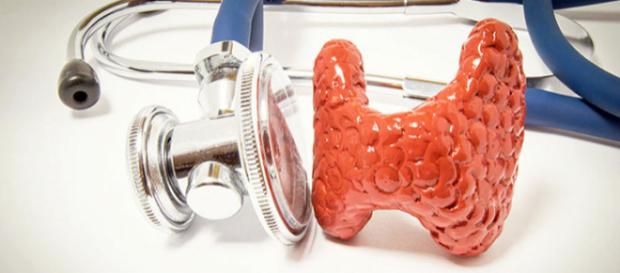 Sintomas como cansaço e ansiedade podem vir da desregulação da tireoide Sintomas como cansaço e ansiedade podem vir da desregulação da tireoide