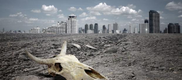 13 pasos para acabar con la extinción de animales de aquí al 2100 ... - expoknews.com 13 pasos para acabar con la extinción de animales de aquí al 2100 ... - expoknews.com