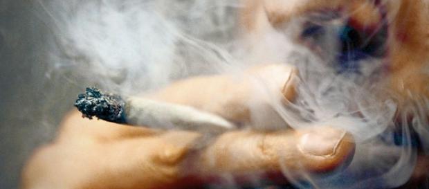 Kiffen erlaubt?: Jamaika-Koalition könnte Cannabis legalisieren ... - stuttgarter-zeitung.de Kiffen erlaubt?: Jamaika-Koalition könnte Cannabis legalisieren ... - stuttgarter-zeitung.de