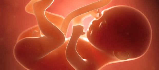 O aborto é um crime hediondo em que a vítima não pode se proteger O aborto é um crime hediondo em que a vítima não pode se proteger