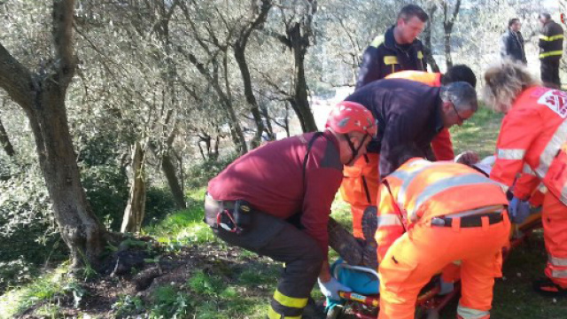 Calabria, muore mentre raccoglie olive