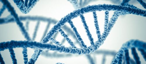 DNA: modificato il codice genetico di un essere umano