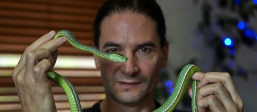 Una foto di Steve con uno dei suoi serpenti