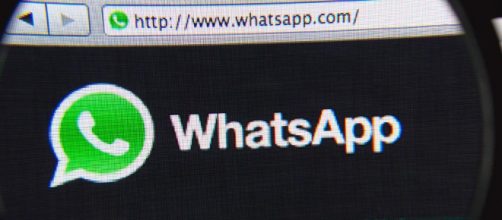 WhatsApp: cos'è, download e guida | Webnews - webnews.it