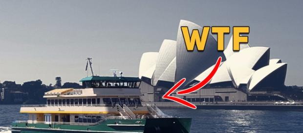 Ferry McFerryFace is born in Sydney Ferry McFerryFace is born in Sydney