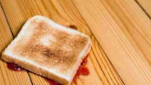 Il cibo &egrave; caduto? Lo mangio lo stesso - mobinews.it