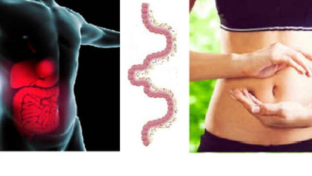 Oltre ad avere molteplici implicazioni, la nostra flora intestinale può influenzare la risposta alle terapie oncologiche.