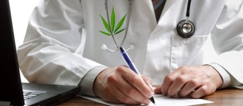 Cannabis terapeutica rimborsata dal Servizio Sanitario Nazionale: le novità