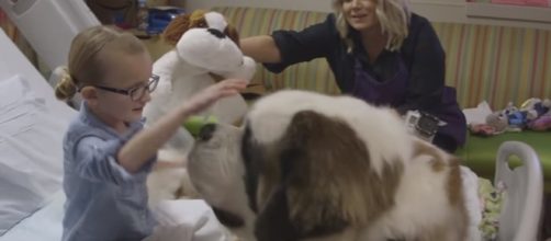 Therapy dogs can bring great joy to people. [Phoenix Children's Hospital Foundation / YouTube screencap]