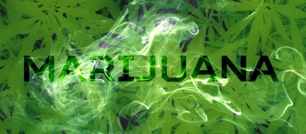 Marijuana is blamed for the death of an 11-month-old baby. Photo by typography images from Pixabay.com. Creative Commons license. Marijuana is blamed for the death of an 11-month-old baby. Photo by typography images from Pixabay.com. Creative Commons license.