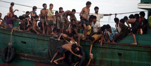 Amnesty International" denuncia i crimini dei soldati sui rohingya ~ - vocidicitta.it