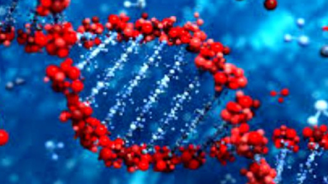 Profilo del microbiota intestinale per una dieta di precisione.