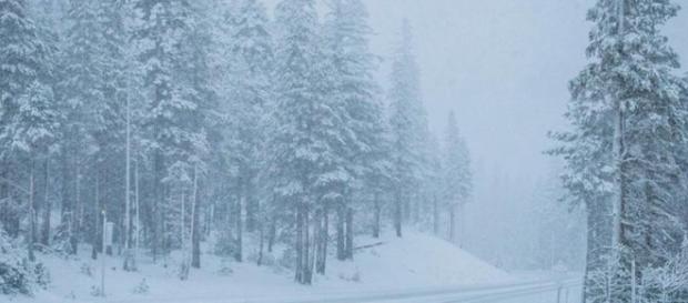 Mammoth calls out the plows as first snow of the season coats ... - latimes.com Mammoth calls out the plows as first snow of the season coats ... - latimes.com