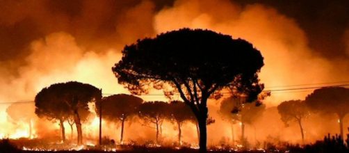 Este año es ya el peor en incendios forestales desde el 2012