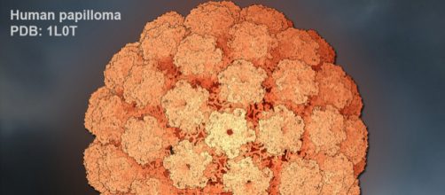 Ricostruzione atomica del Papilloma Virus Umano (HPV)