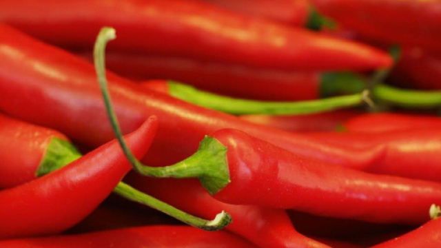 SocialNews.fr : - socialnews.fr