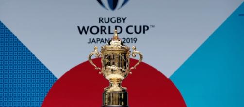 Coupe du Monde 2019 : Le calendrier sera connu le 2 novembre ... - rugby365.fr
