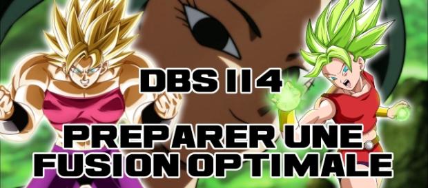 DBS 114 : Préparer une fusion optimale... DBS 114 : Préparer une fusion optimale...