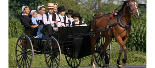 Una mutazione genetica, frequente in una comunità Amish dell’Indiana, fa aumentare la vita media di 10 anni.