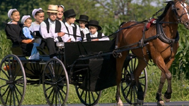 Una mutazione genetica, frequente in una comunit&agrave; Amish dell&rsquo;Indiana, fa aumentare la vita media di 10 anni.