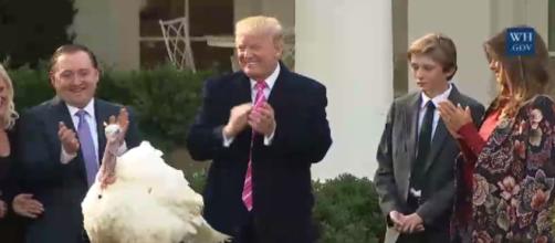 Donald Trump's turkey pardon, via Twitter