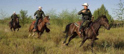 Border Patrol agents on horseback in South Texas. - [Image credit – Donna Burton, Wikimedia Commons]