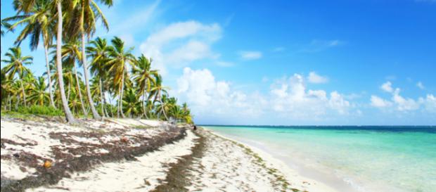 All Inclusive Jamaika » Urlaub All Inklusive buchen - TUI.com - tui.com All Inclusive Jamaika » Urlaub All Inklusive buchen - TUI.com - tui.com