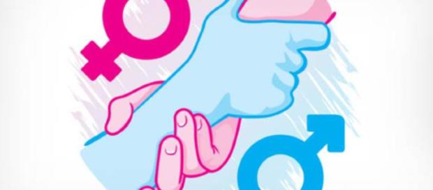 Igualdad de género. Ni machismo ni feminismo Igualdad de género. Ni machismo ni feminismo