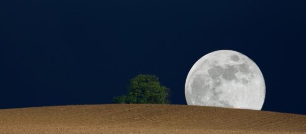 Wer kommt heute noch zur Ruhe und verfolgt den Mond ? - scienceblogs.de Wer kommt heute noch zur Ruhe und verfolgt den Mond ? - scienceblogs.de