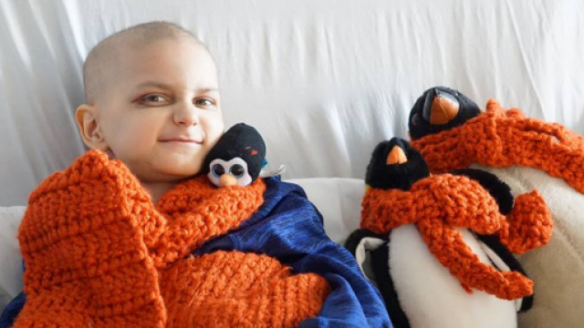 Jacob Thompson e i suoi pinguini - foto da pagina Facebook "Jacob Thompson&rsquo;s Journey"