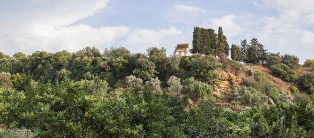 Giardino della Kolymbethra | - Fondo Ambiente Italiano - fondoambiente.it Giardino della Kolymbethra | - Fondo Ambiente Italiano - fondoambiente.it