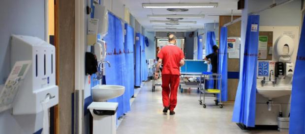 NHS loophole puts patients at risk as EU nurses are hired without ... - thesun.co.uk NHS loophole puts patients at risk as EU nurses are hired without ... - thesun.co.uk