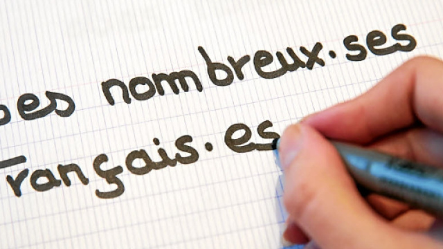 L'&eacute;criture inclusive - homardenchaine.fr