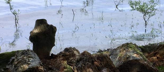 Den einen Tropfen des Ozeans zu wählen, der alle Möglichkeiten offen lässt Den einen Tropfen des Ozeans zu wählen, der alle Möglichkeiten offen lässt