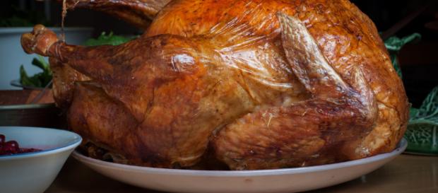 Image of a Turkey -- Tim Sackton/Flickr. Image of a Turkey -- Tim Sackton/Flickr.