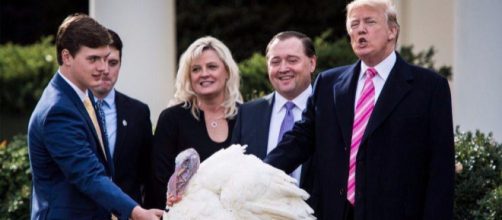 Trump pardons turkeys; White House gives Lehigh Valley birds to ... - mcall.com