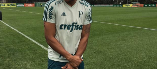 Jogador no campo de futebol da Sociedade Esportiva Palmeiras Jogador no campo de futebol da Sociedade Esportiva Palmeiras