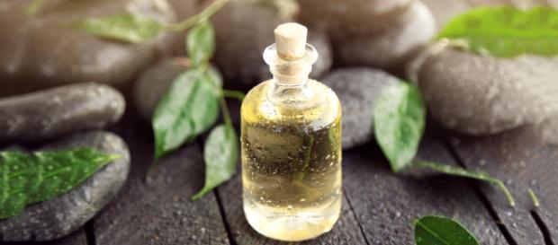Tea Tree Oil - Image free for usage. Tea Tree Oil - Image free for usage.