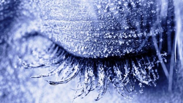 Esempio di ibernazione (foto campione)